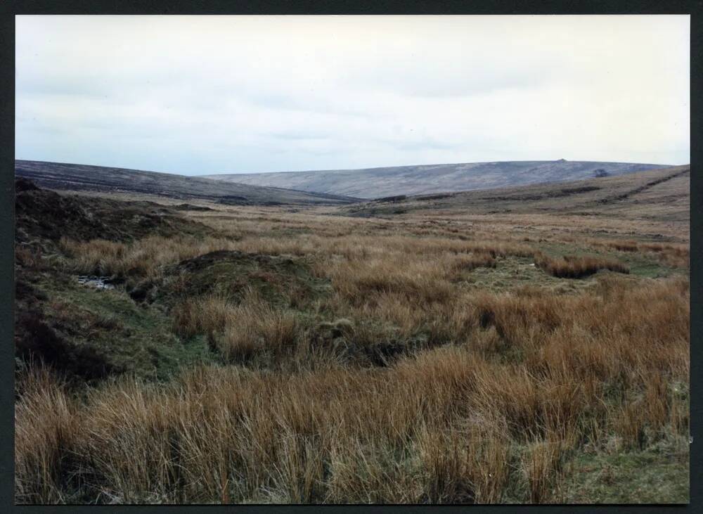 30/21 Near source of Wellabrook to Eastern Wittaburrow