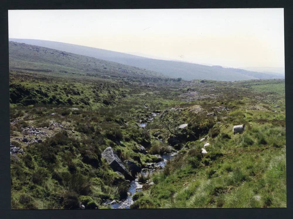 An image from the Dartmoor Trust Archive