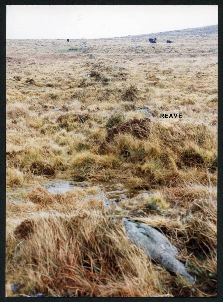 An image from the Dartmoor Trust Archive