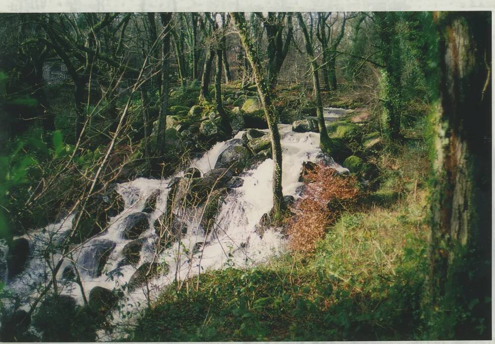 An image from the Dartmoor Trust Archive