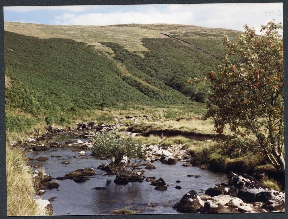 An image from the Dartmoor Trust Archive