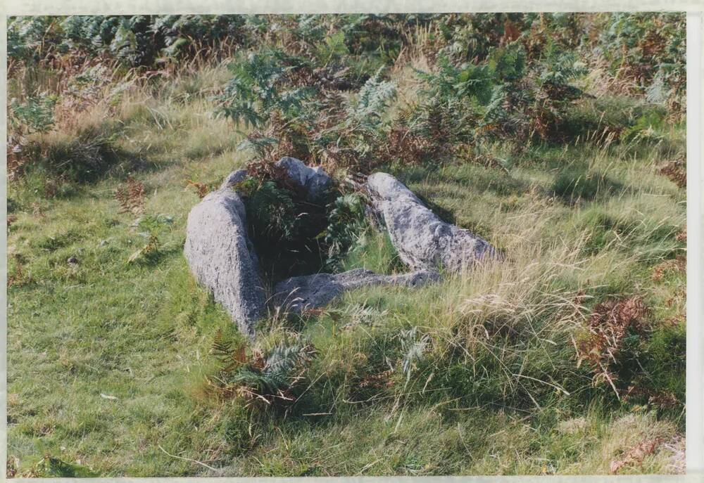 An image from the Dartmoor Trust Archive