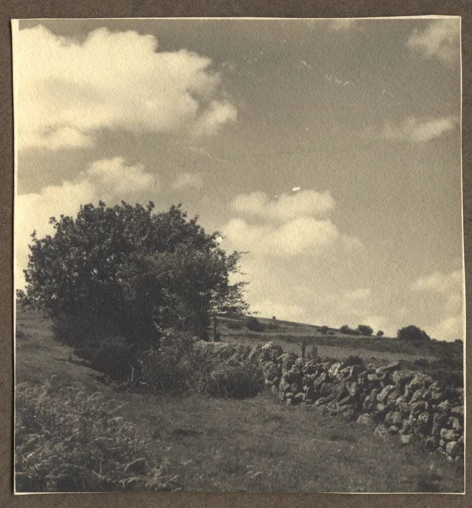 An image from the Dartmoor Trust Archive