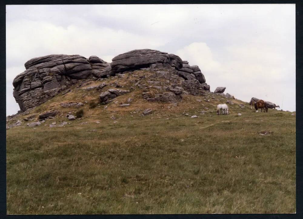 An image from the Dartmoor Trust Archive