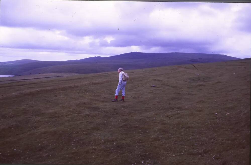 Saxon Cross, West Okement