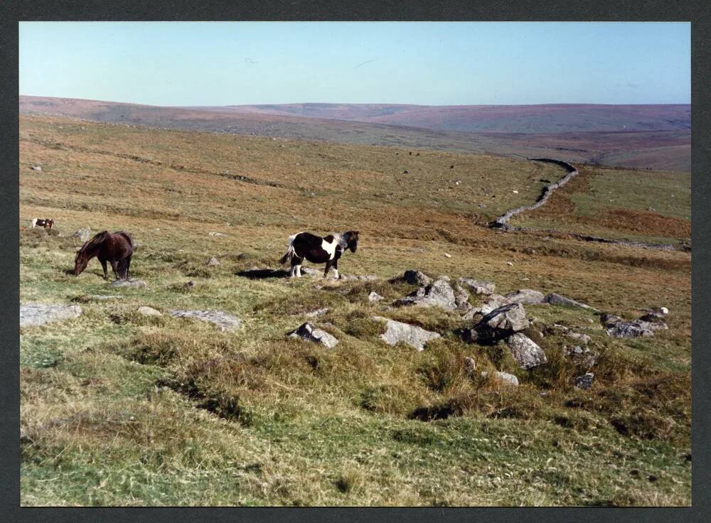 An image from the Dartmoor Trust Archive