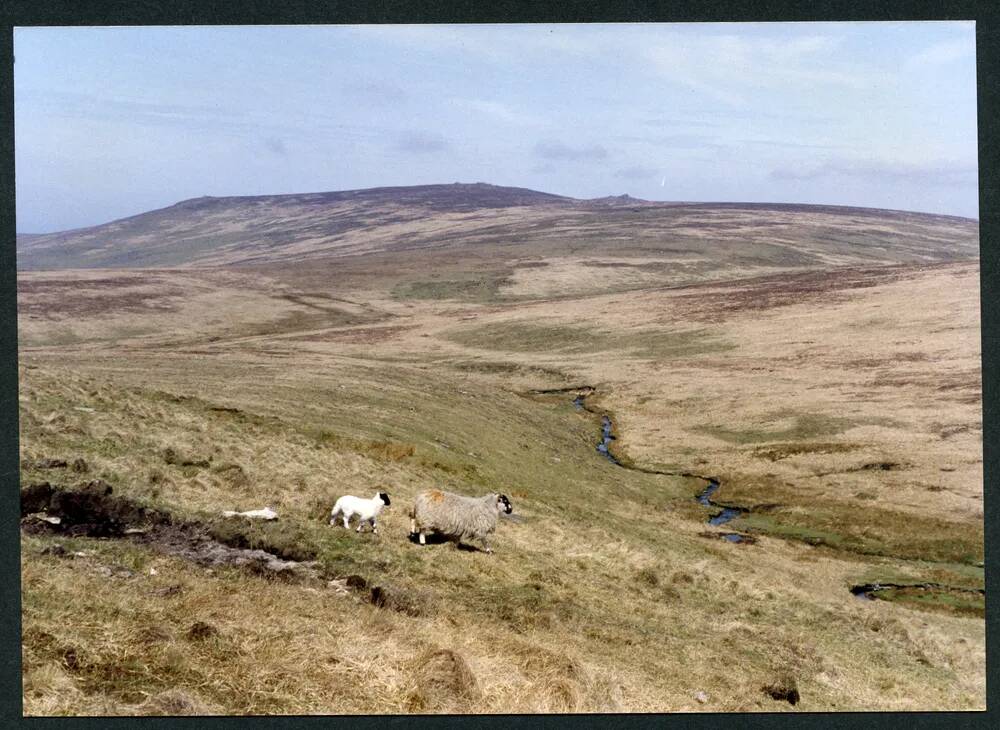 An image from the Dartmoor Trust Archive