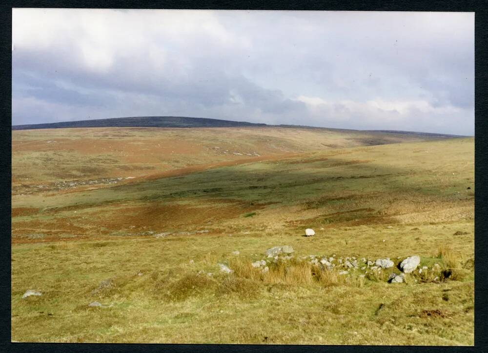 An image from the Dartmoor Trust Archive