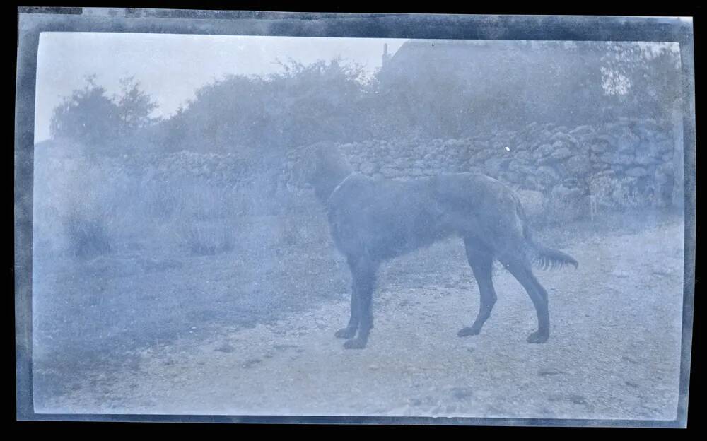 An image from the Dartmoor Trust Archive