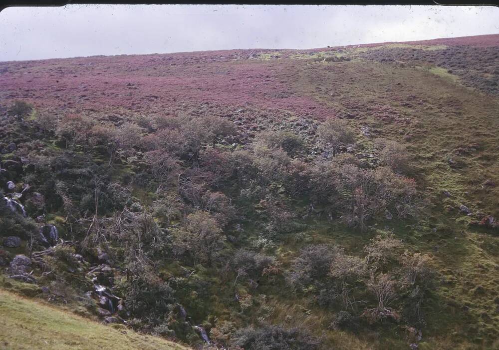 An image from the Dartmoor Trust Archive