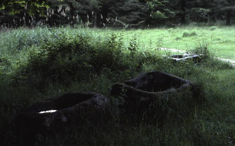 An image from the Dartmoor Trust Archive