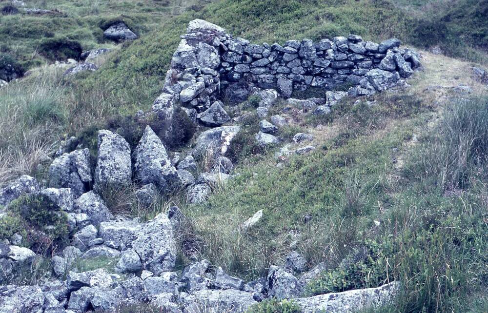 An image from the Dartmoor Trust Archive