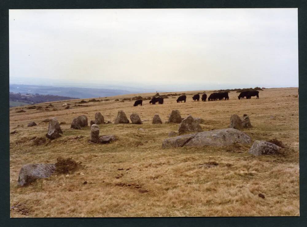 An image from the Dartmoor Trust Archive