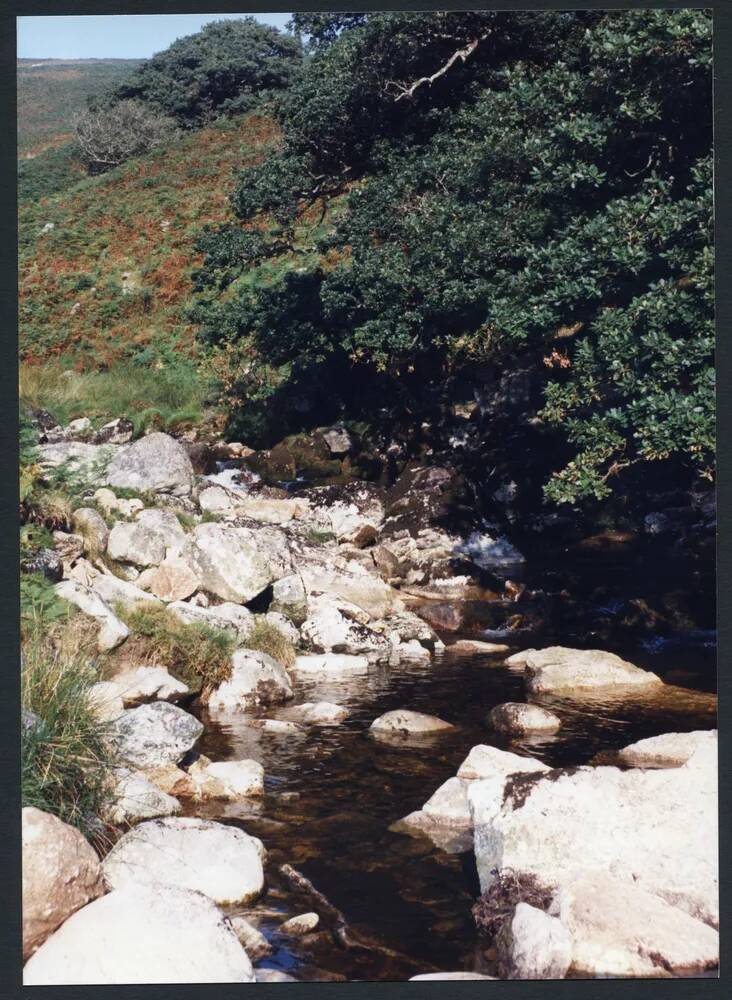 An image from the Dartmoor Trust Archive