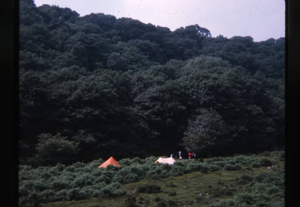 An image from the Dartmoor Trust Archive