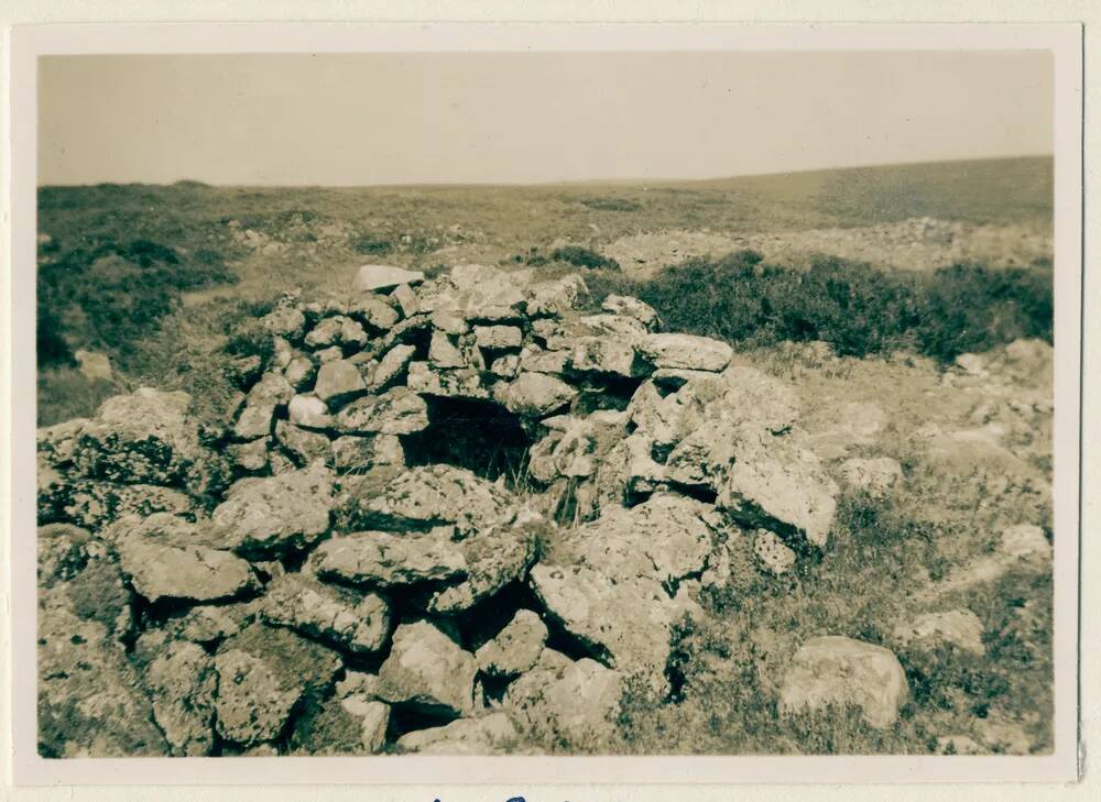 Ducks Pool Blowing House