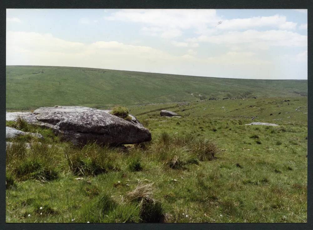 24/34 Above left bank of Wollake 30/6/1994