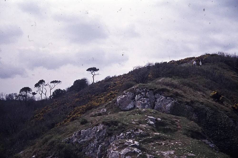 An image from the Dartmoor Trust Archive