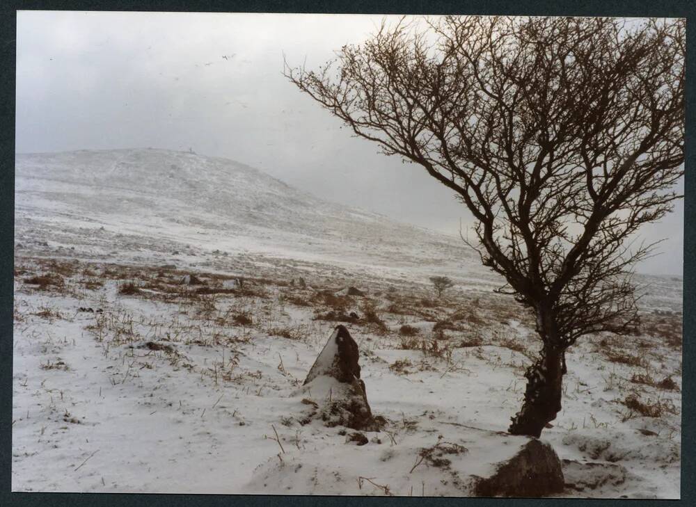 An image from the Dartmoor Trust Archive