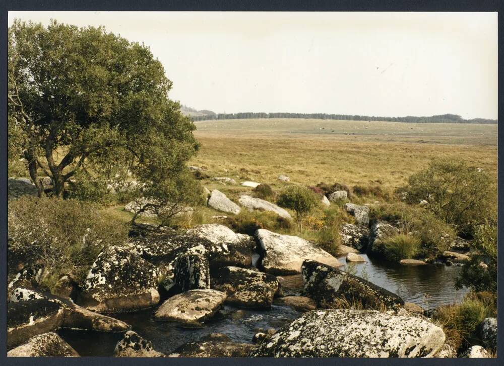 An image from the Dartmoor Trust Archive