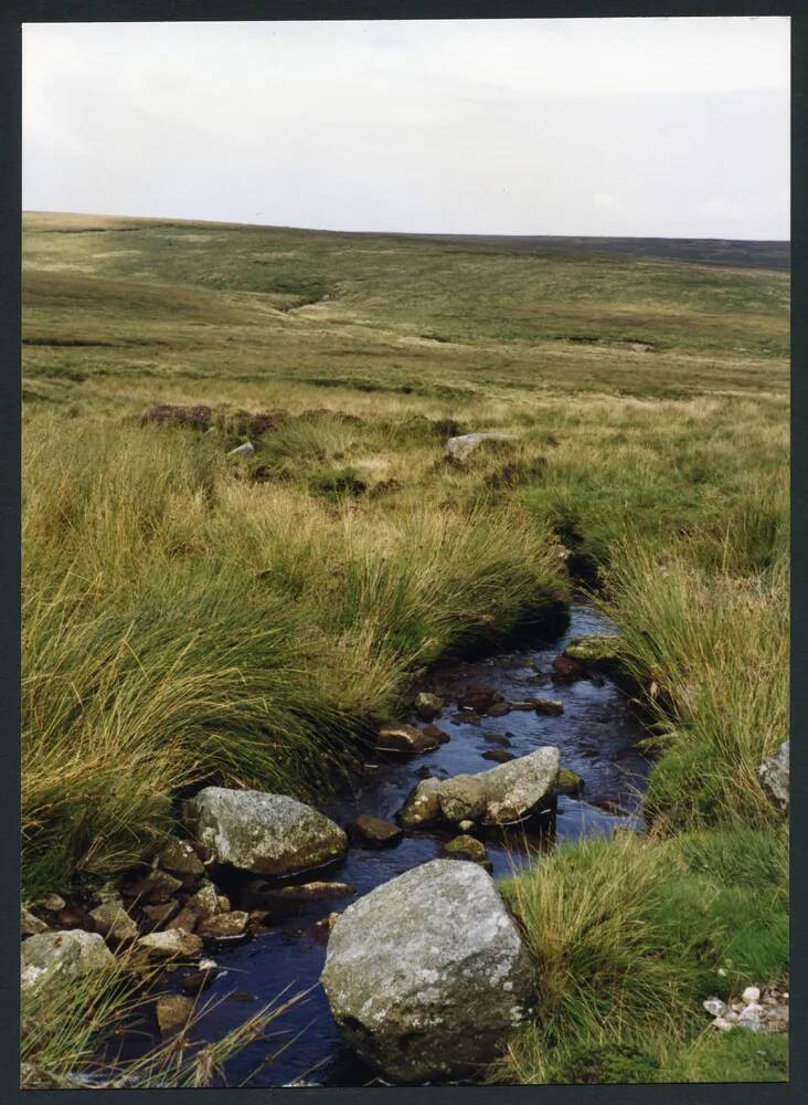 26/56 Near foot of Cut Hill stream 20/8/1992