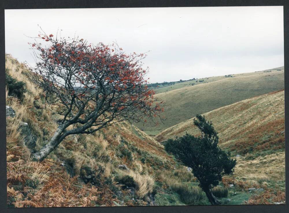 An image from the Dartmoor Trust Archive