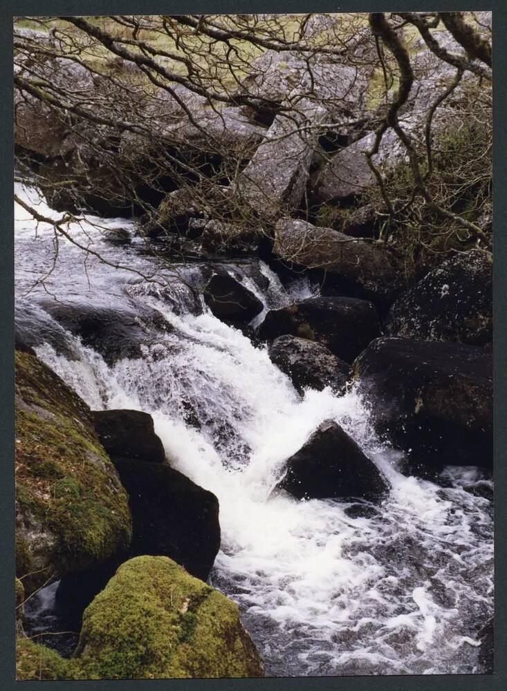 An image from the Dartmoor Trust Archive