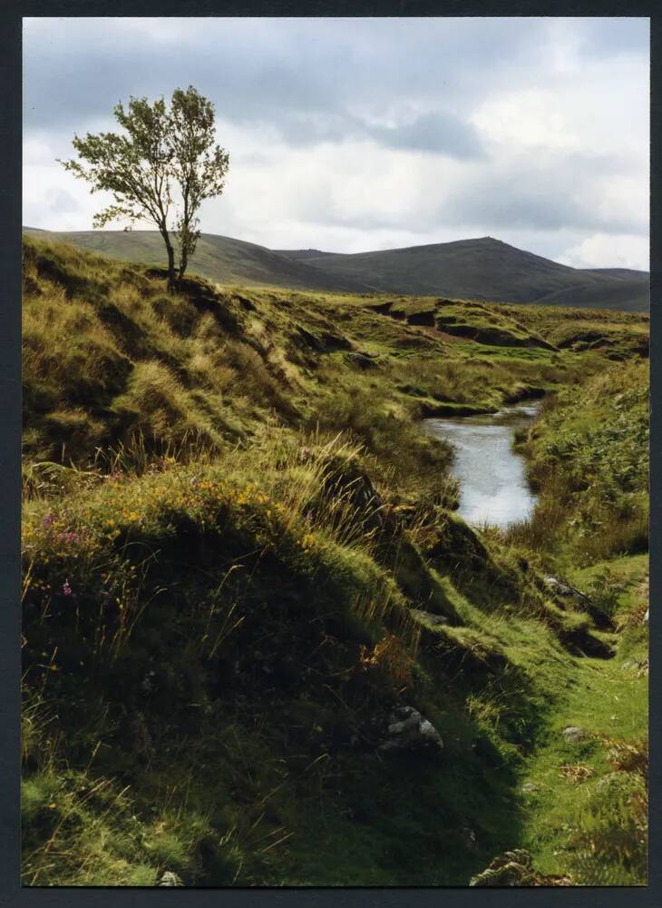 An image from the Dartmoor Trust Archive