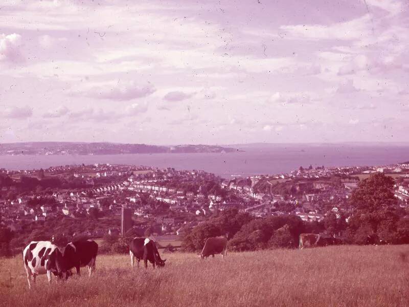 An image from the Dartmoor Trust Archive