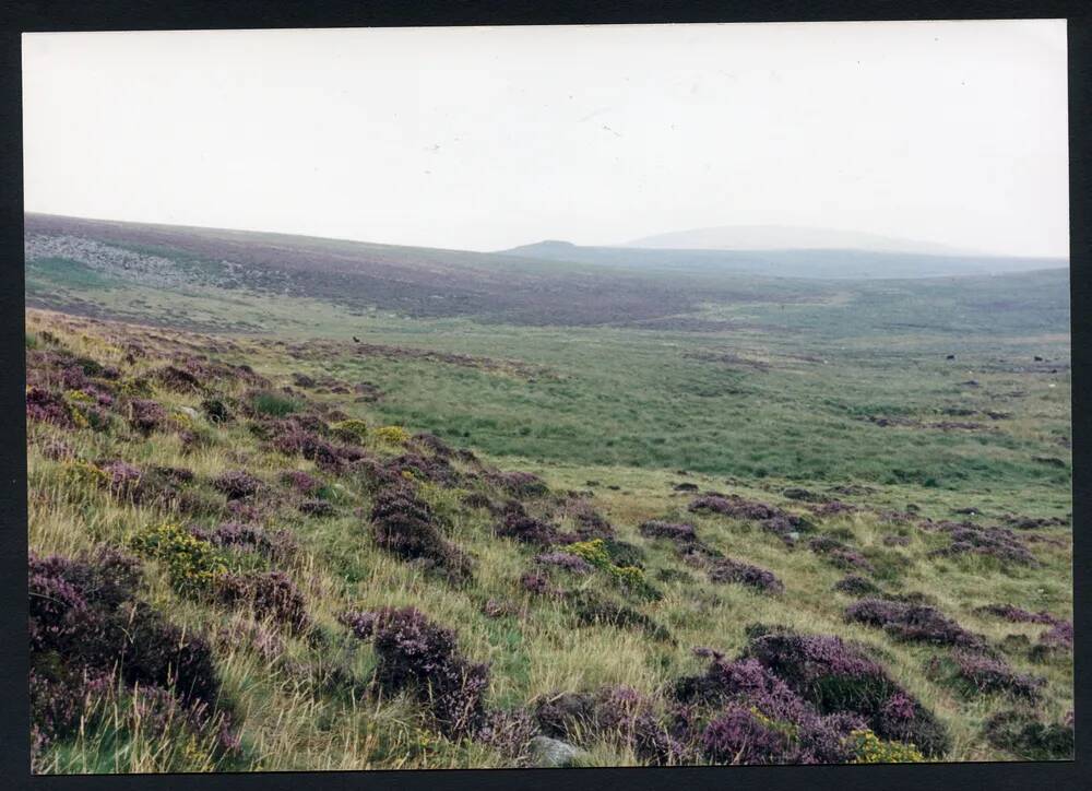 An image from the Dartmoor Trust Archive