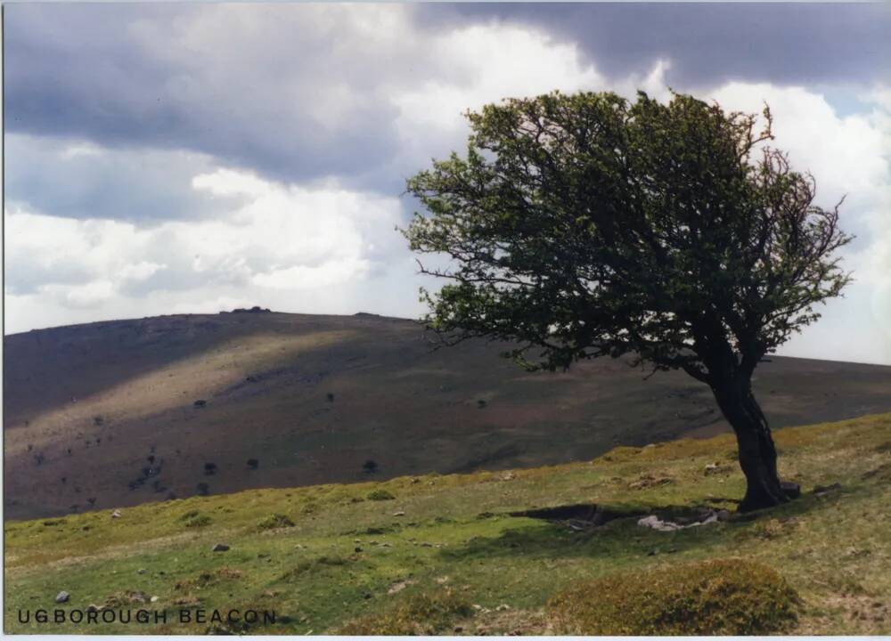 An image from the Dartmoor Trust Archive