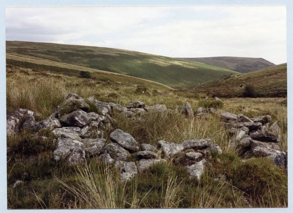 An image from the Dartmoor Trust Archive