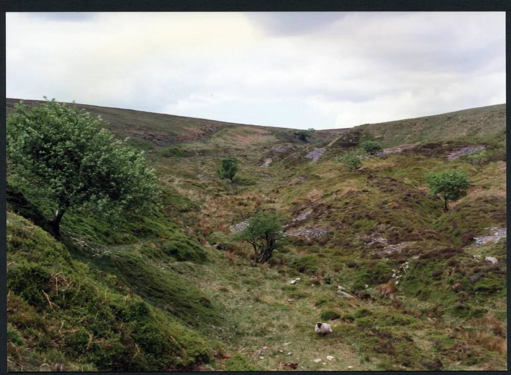 29/29 Middle Brook above Wheel Pit 29/5/1991