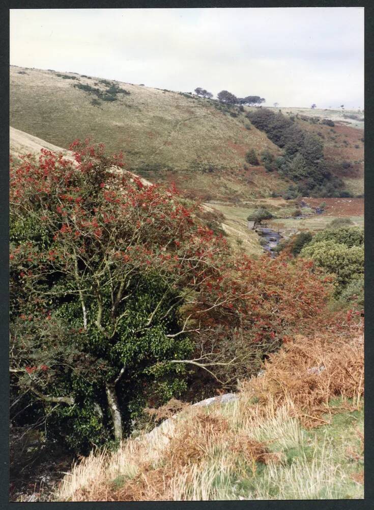 An image from the Dartmoor Trust Archive