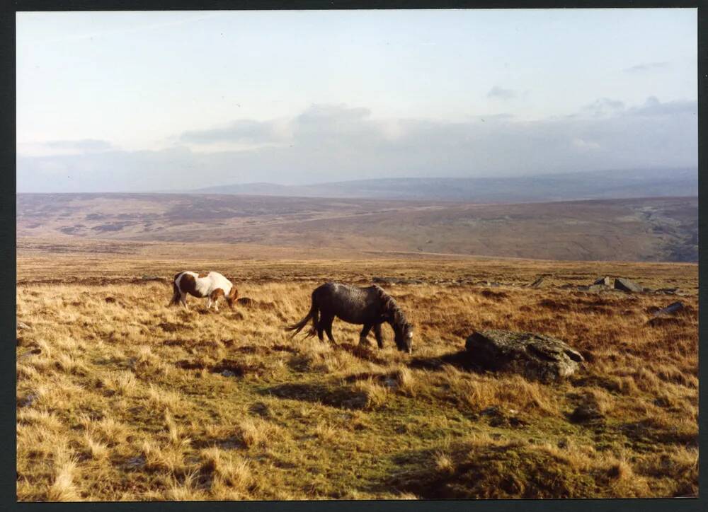 An image from the Dartmoor Trust Archive