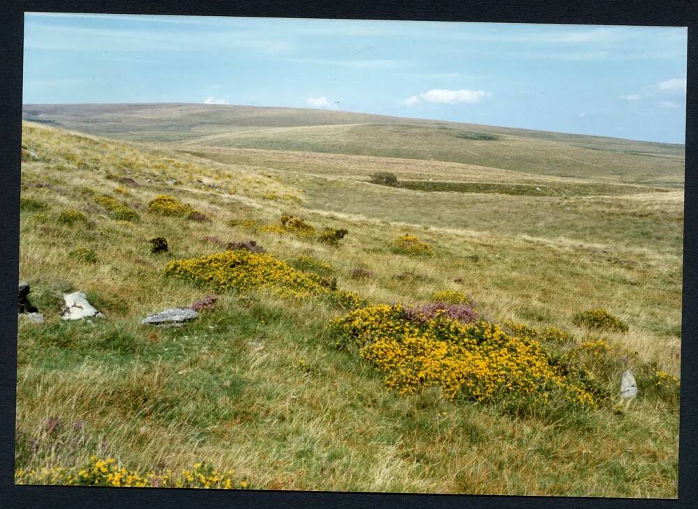 An image from the Dartmoor Trust Archive