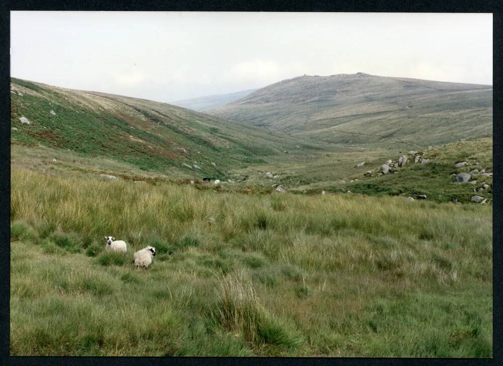 An image from the Dartmoor Trust Archive