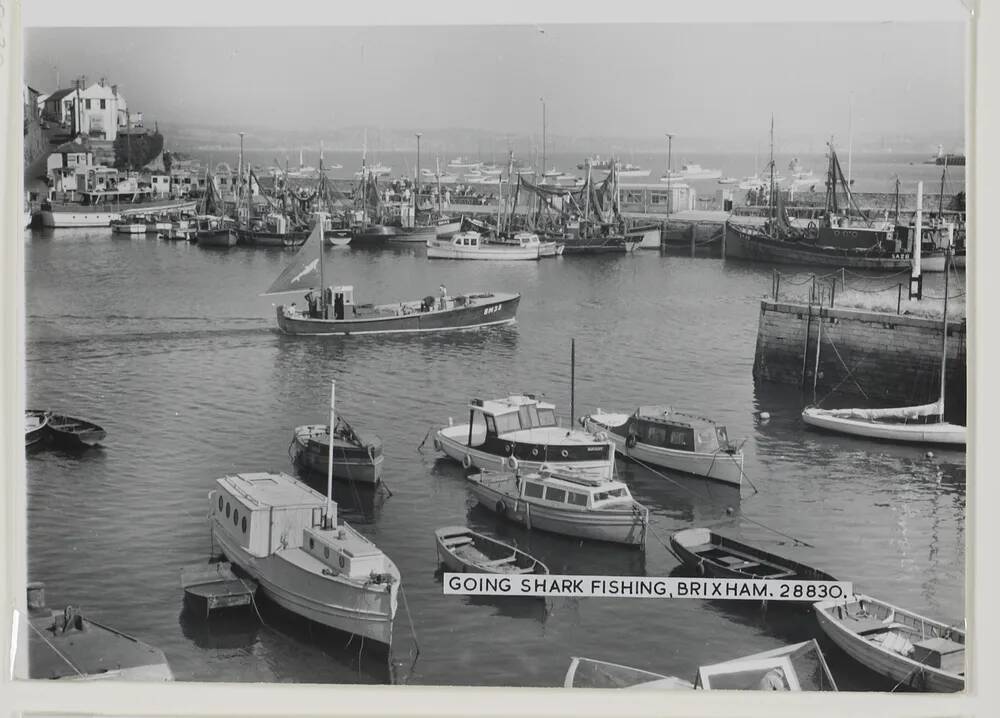 Shark fishing at Brixham