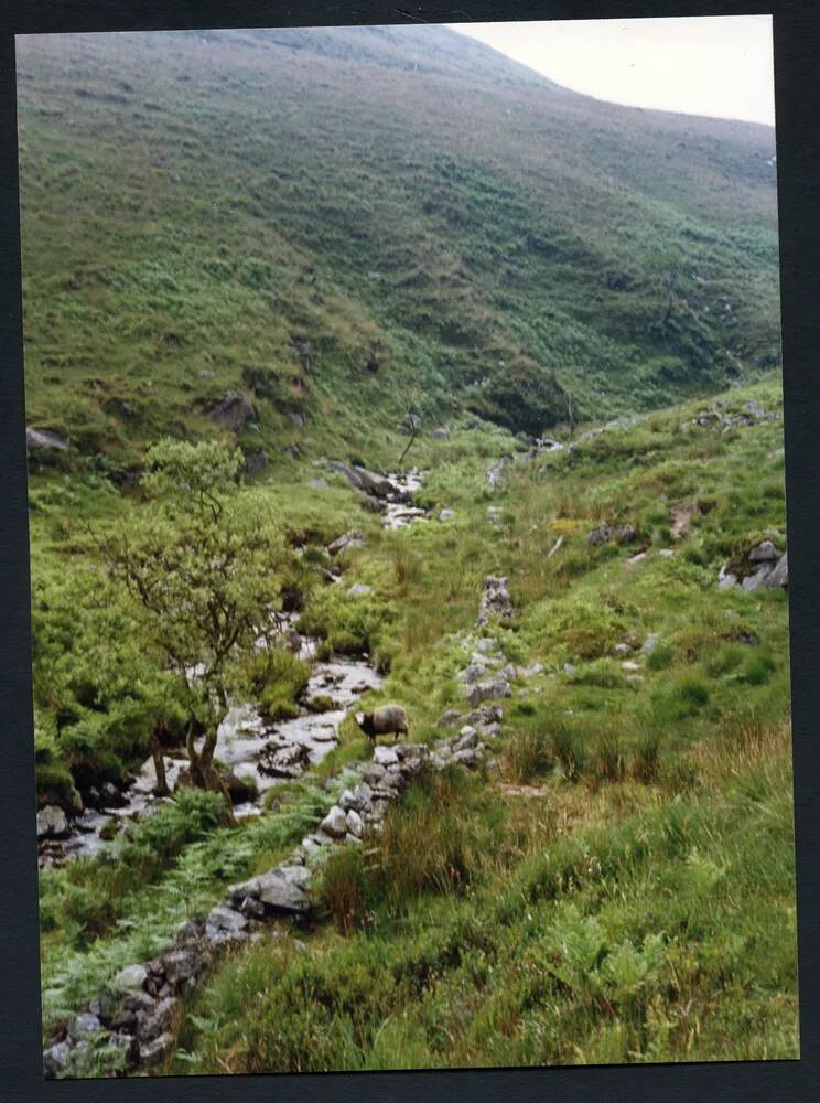 An image from the Dartmoor Trust Archive