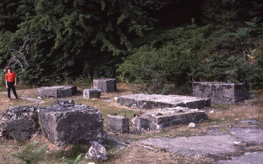 An image from the Dartmoor Trust Archive