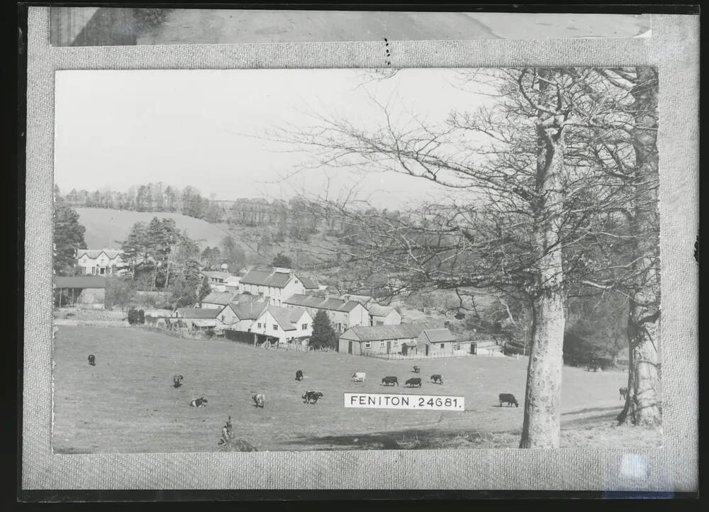 General view, Feniton