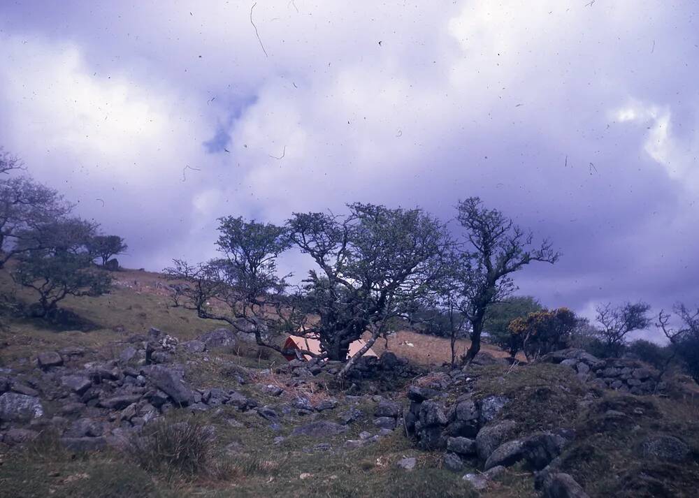 An image from the Dartmoor Trust Archive