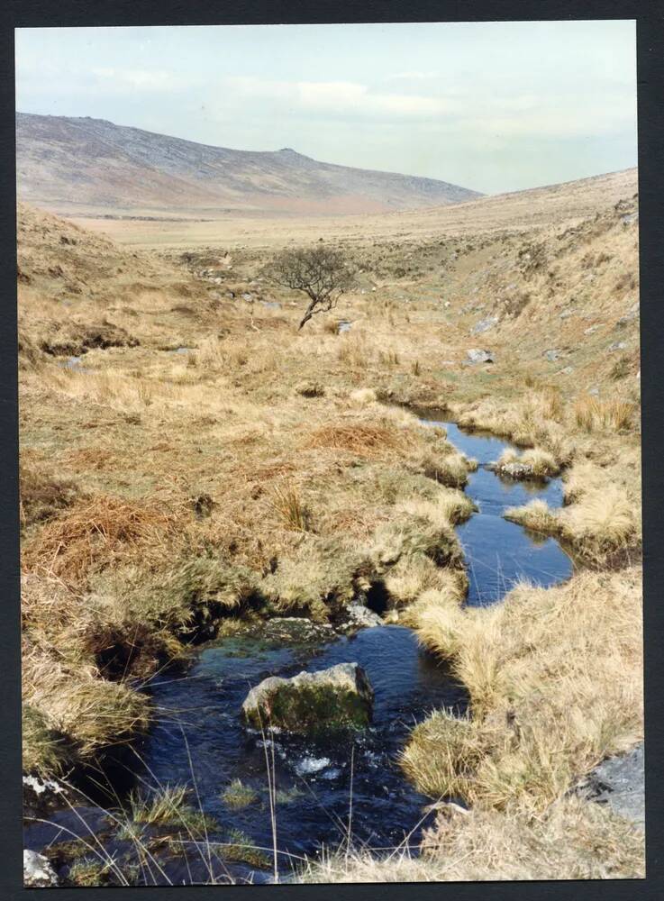 An image from the Dartmoor Trust Archive