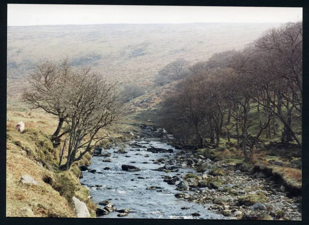 An image from the Dartmoor Trust Archive