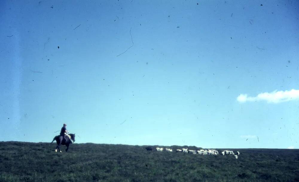 An image from the Dartmoor Trust Archive