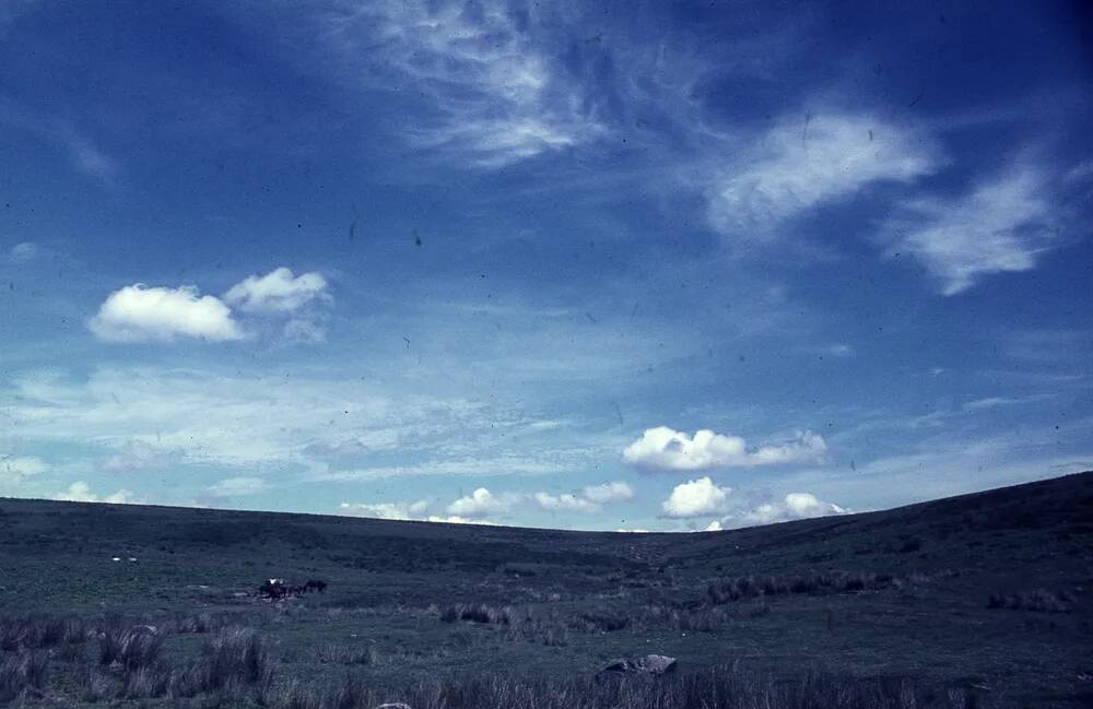 An image from the Dartmoor Trust Archive