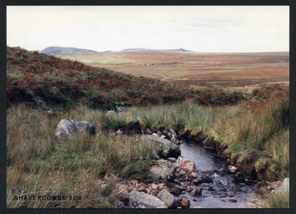 An image from the Dartmoor Trust Archive