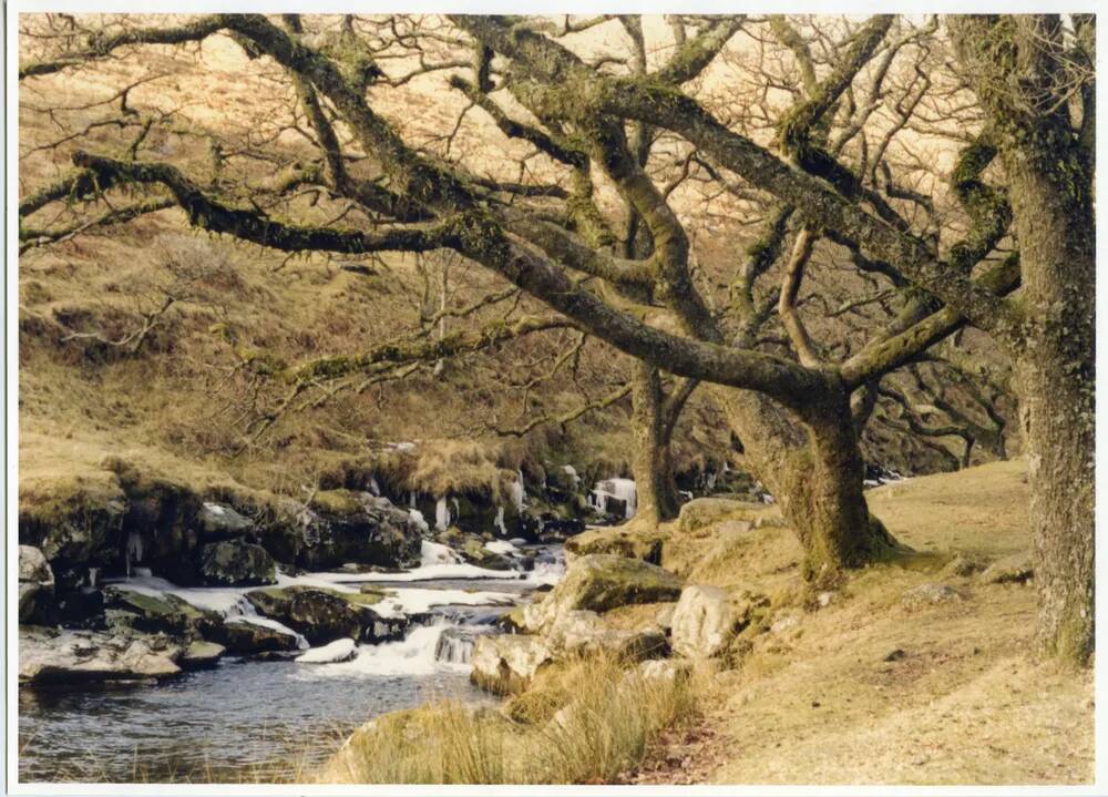 An image from the Dartmoor Trust Archive