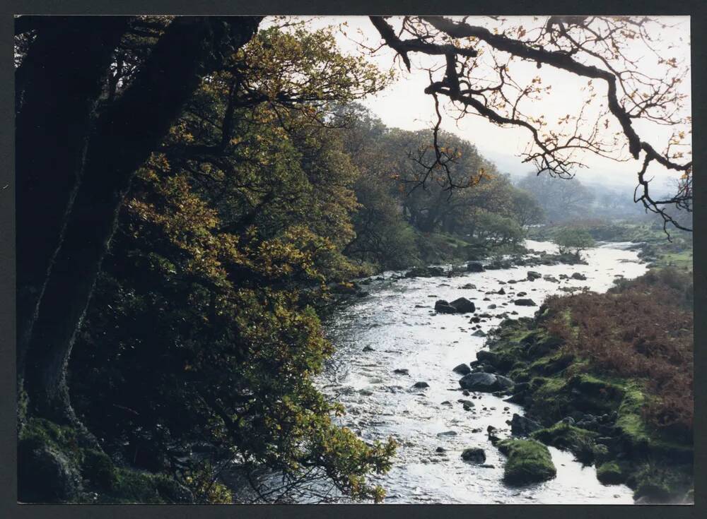 An image from the Dartmoor Trust Archive