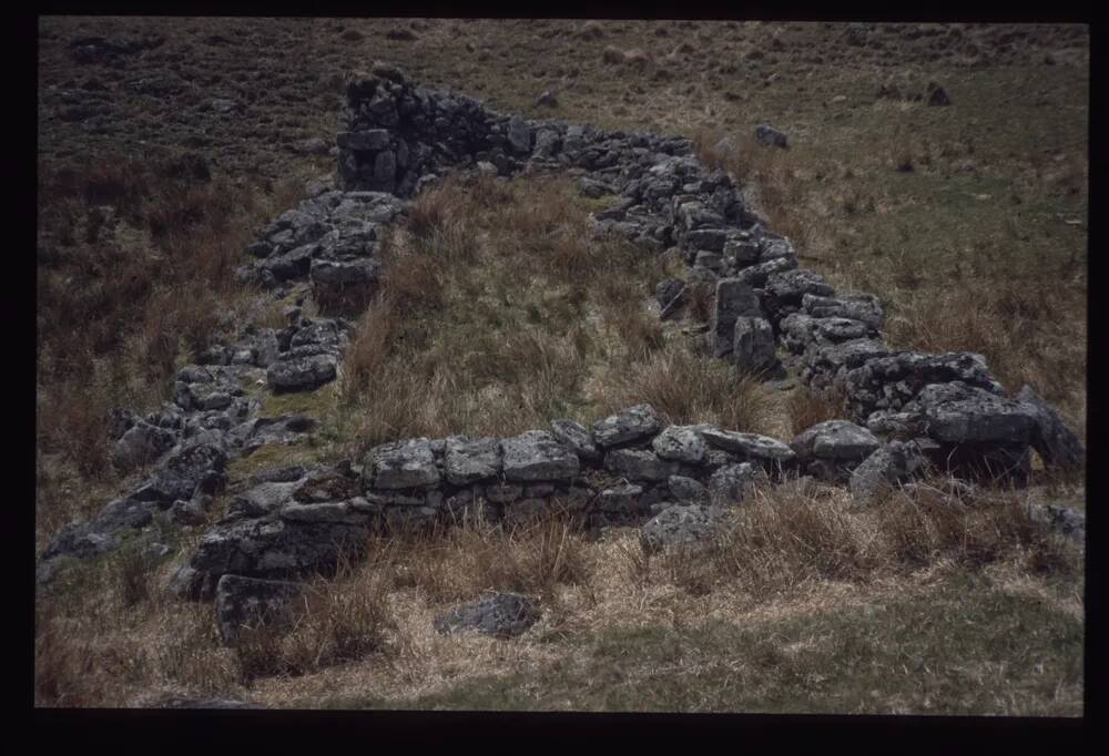 An image from the Dartmoor Trust Archive